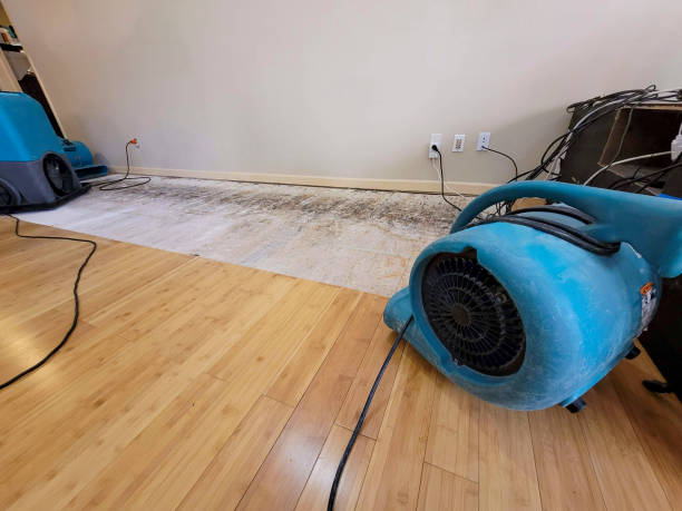 Professional Burst Pipe Water Damage technician working in Cowan, TN